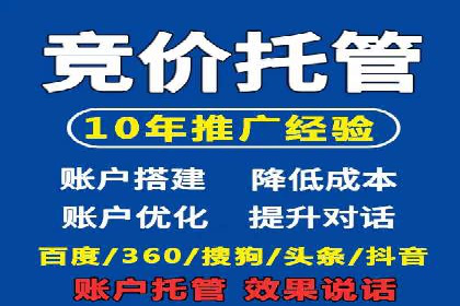 成功SEM服务案例分析报告